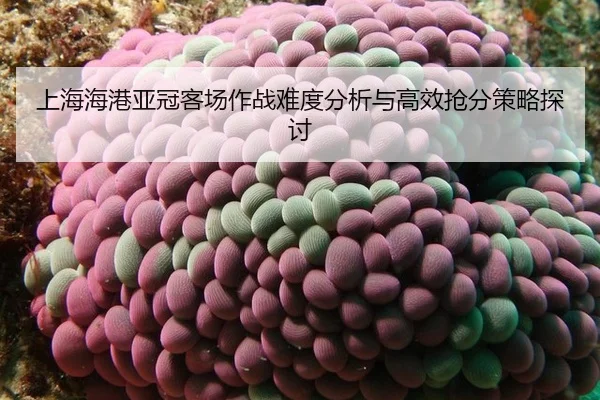 上海海港亚冠客场作战难度分析与高效抢分策略探讨
